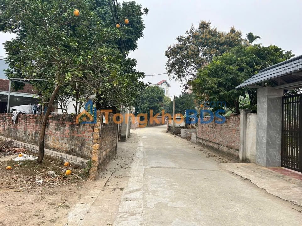 Đất nền Tân Xã Thạch Thất 125m², tiềm năng tăng giá