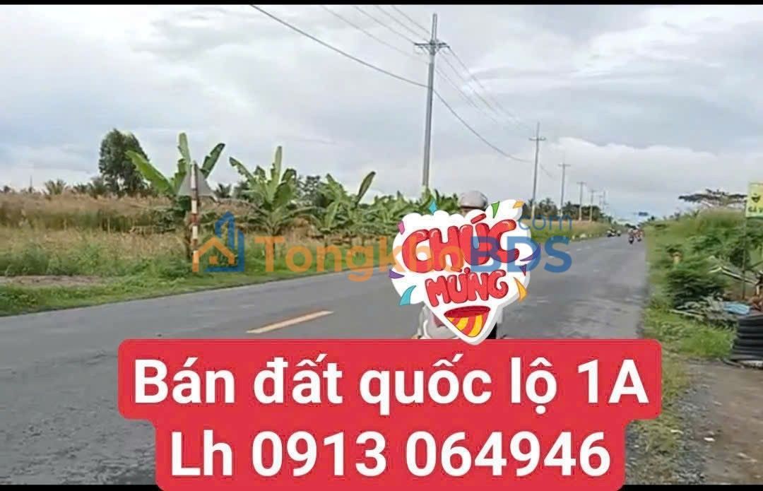 Đất nền Quốc lộ 1A Cái Nước 1875m² 3 tỷ - Pháp lý rõ ràng