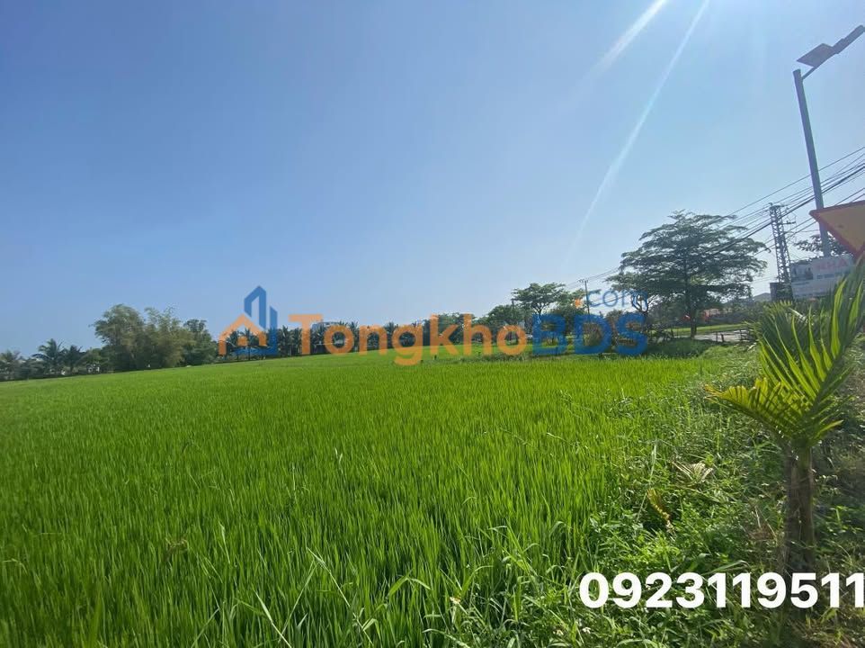 Đất nền Cẩm Châu Hội An 1000m² 20 tỷ - Sổ đỏ chính chủ