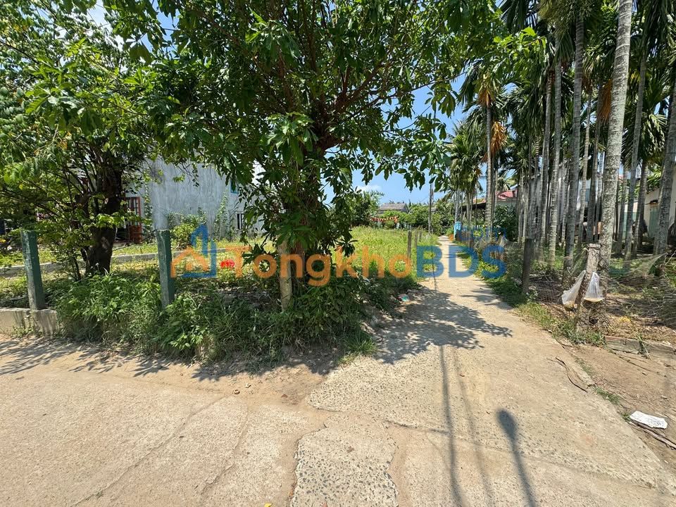 Đất Cẩm Nam Hội An 114m² giá 2,4 tỷ - Sổ đỏ chính chủ