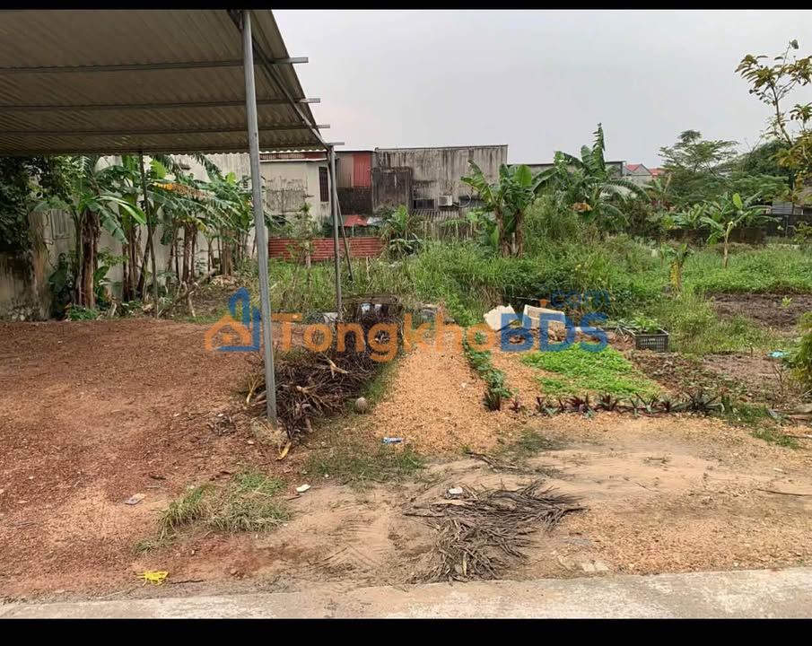 Đất nền Ngõ 28 Hoàng Sâm 100m² 1 tỷ - Sổ đỏ chính chủ