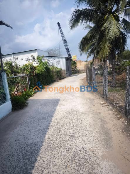 Đất Cái Tắc Hậu Giang 508m² 1.5 tỷ - Xây dựng tự do