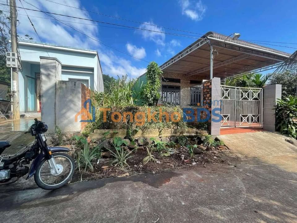 Đất nền Quảng Phú Cầu 100m² 600 triệu - Xây dựng tự do