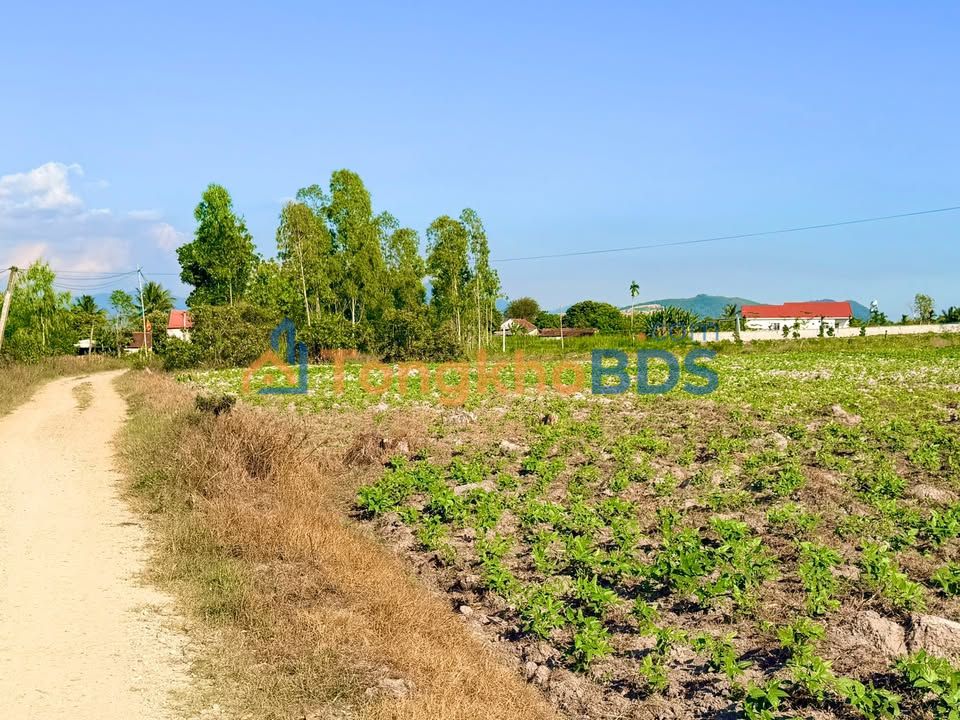 Đất nền Thôn 5 Quốc Oai 525m² 200-299 triệu - Vị trí đắc địa