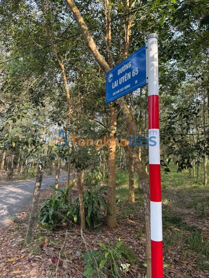 Đất nền Lai Uyên 165m² 729 triệu - Tiềm năng tăng giá
