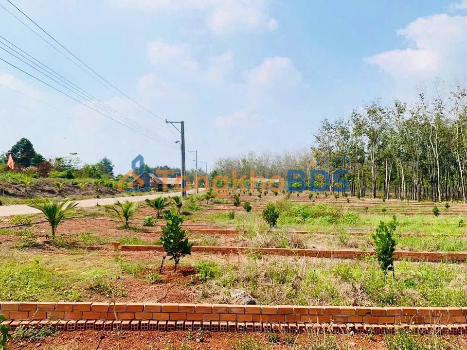 Đất nền Đồng Phú Đồng Nai 300m² 268tr - Đất thổ cư 100%