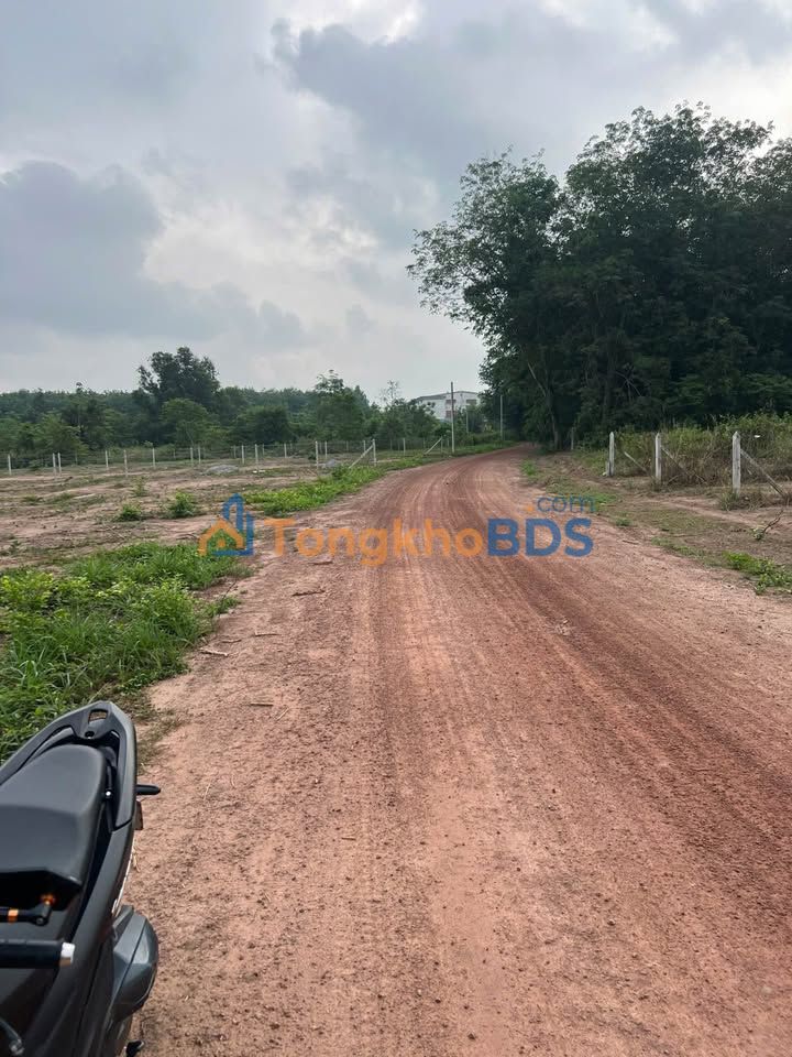 Đất nền An Điền Bến Cát 225m² 1.2 tỷ - Tiềm năng tăng giá