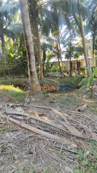 Đất vườn Tân Phú Tây 6.500m² 5.5 tỷ - Sinh thái xanh