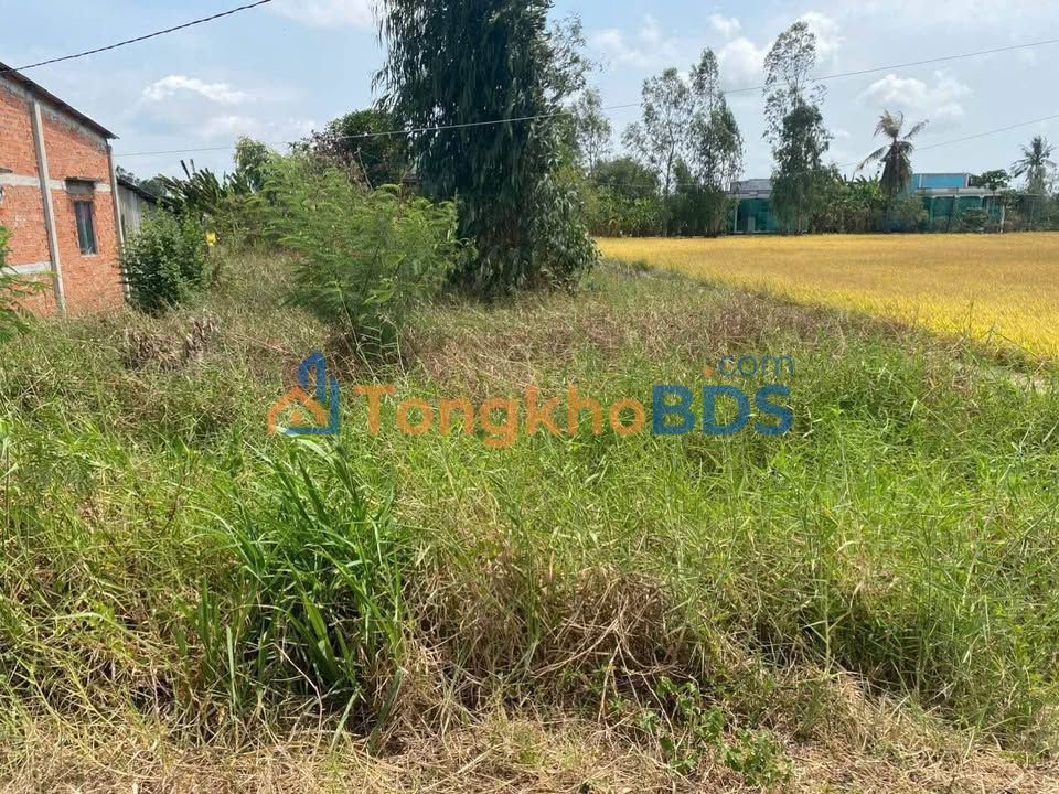 Đất Ấp 1 Bình Xuân Gò Công 372m² 470 triệu - Xây dựng tự do