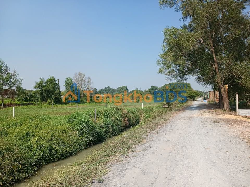 Đất nền Đường Xe Tăng Củ Chi 1000m² 1,7 tỷ - Đầu tư dài hạn