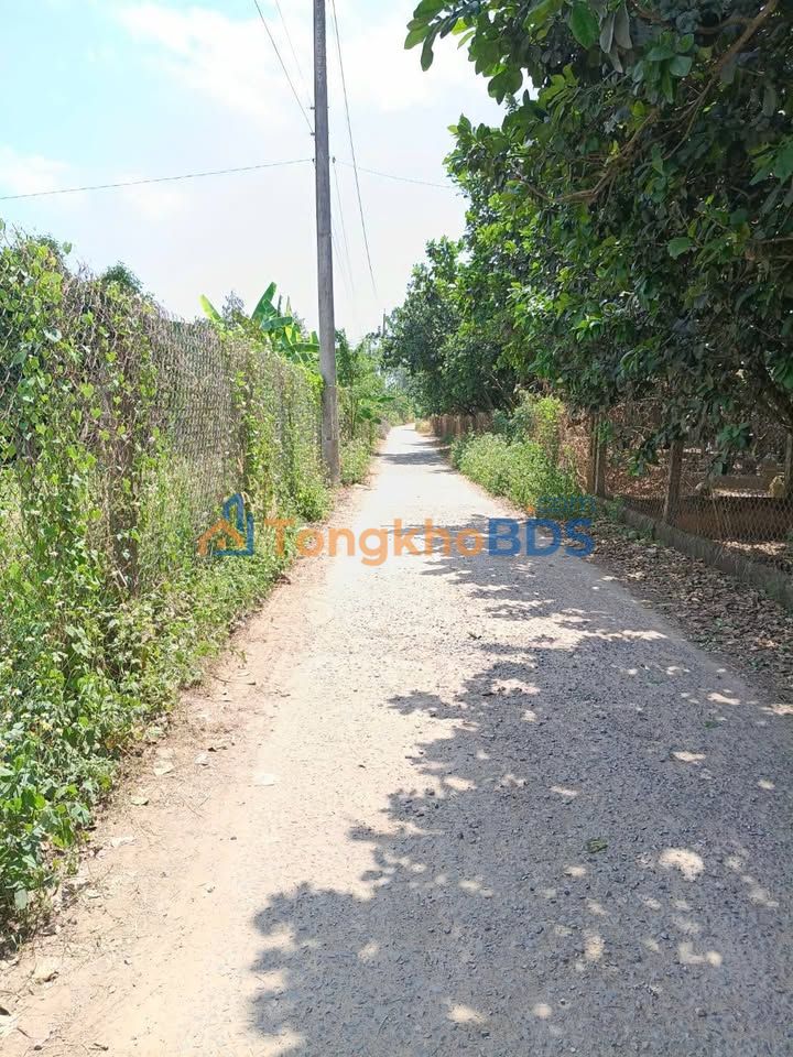 Đất nền Bình Lợi Vĩnh Cửu 3.630m² 7.5 tỷ - Sổ đỏ chính chủ