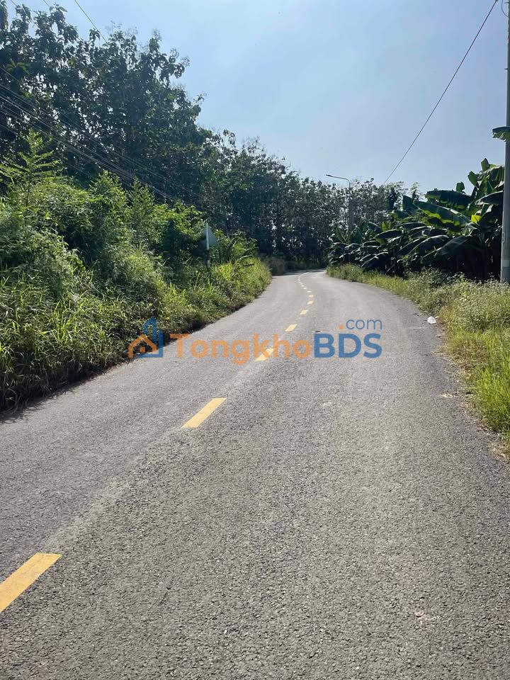 Đất nền Phú Thịnh Tân Phú 450m² 800 triệu - Pháp lý rõ ràng