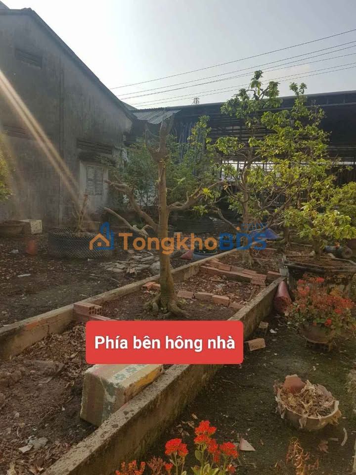 Đất nền Thuận An, Bình Minh 996m² giá 7.47 tỷ - Đường to ô tô