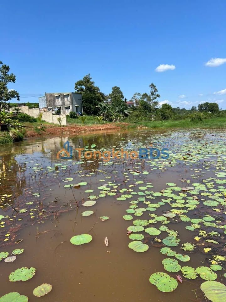 Đất Chu Văn An Di Linh 540m² 4,2 tỷ - Sổ đỏ chính chủ