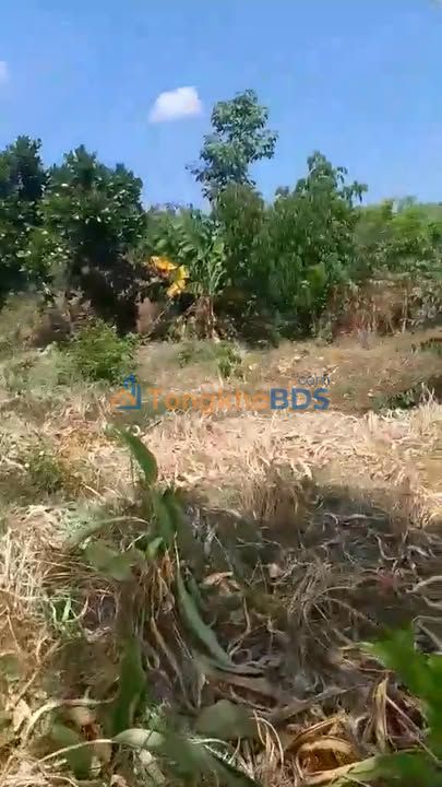 Đất vườn Phú Thịnh 32.500m² giá thỏa thuận - Đầu tư dài hạn