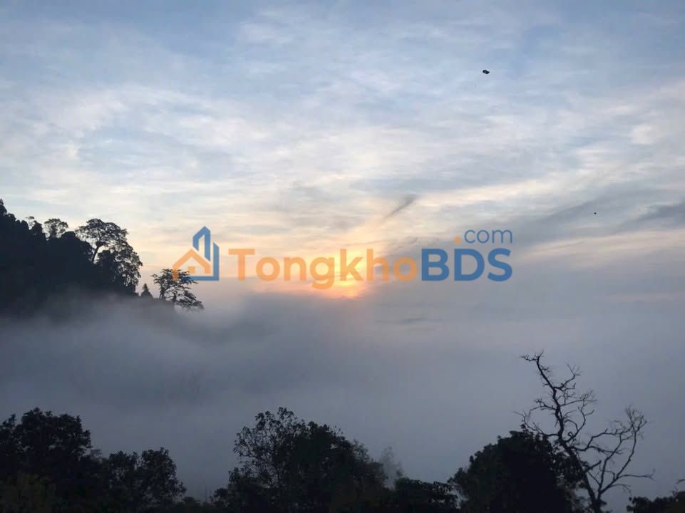 Farm Thôn 10 Lộc Thành 1.74ha 5.6 tỷ - Nghỉ dưỡng lý tưởng