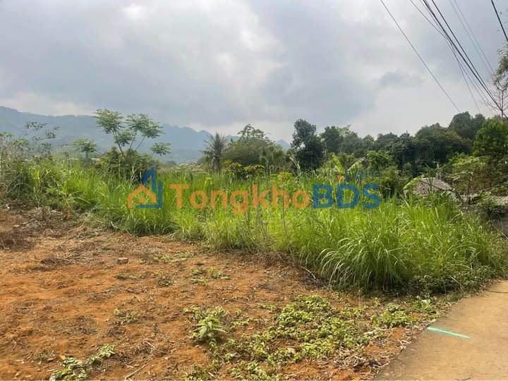 Đất nền Phường Thống Nhất Hòa Bình 300m² giá thỏa thuận - Sổ đỏ chính chủ