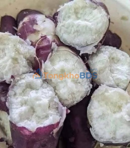 Nhà riêng Linh Xuân 2.230m² 51 tỷ – Chính chủ bán gấp