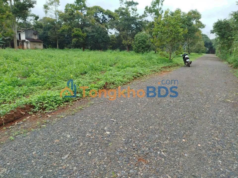 Đất nông nghiệp Nguyễn Xuân Nguyên 500m² 800tr - Sổ đỏ chính chủ