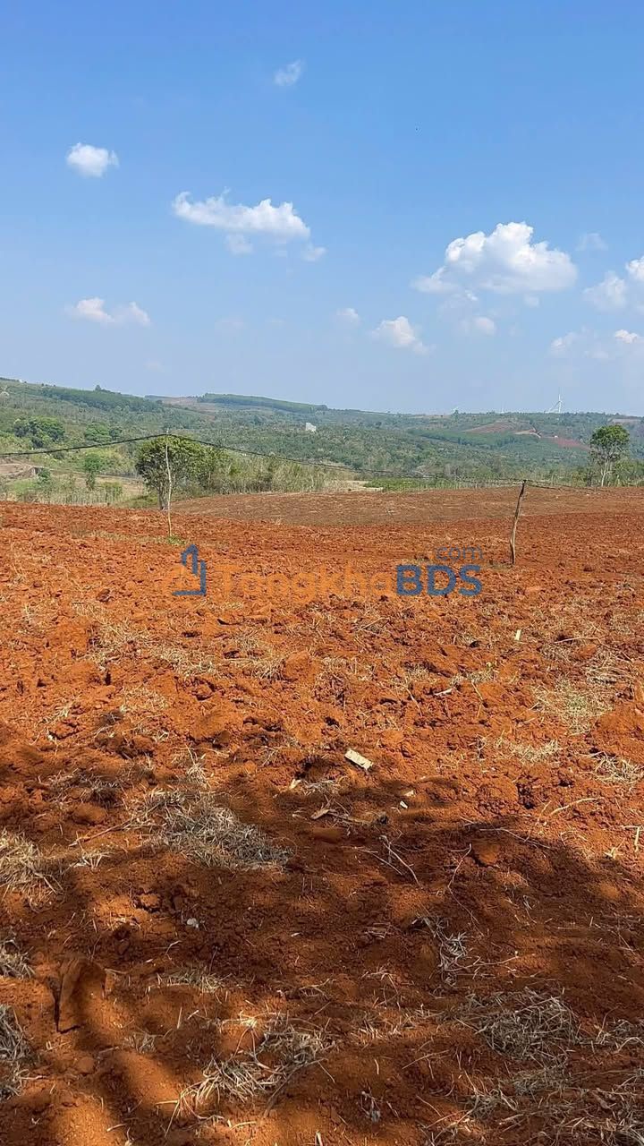 Farm Ea Khal Ea H'leo 14ha 25 tỷ - Nghỉ dưỡng lý tưởng