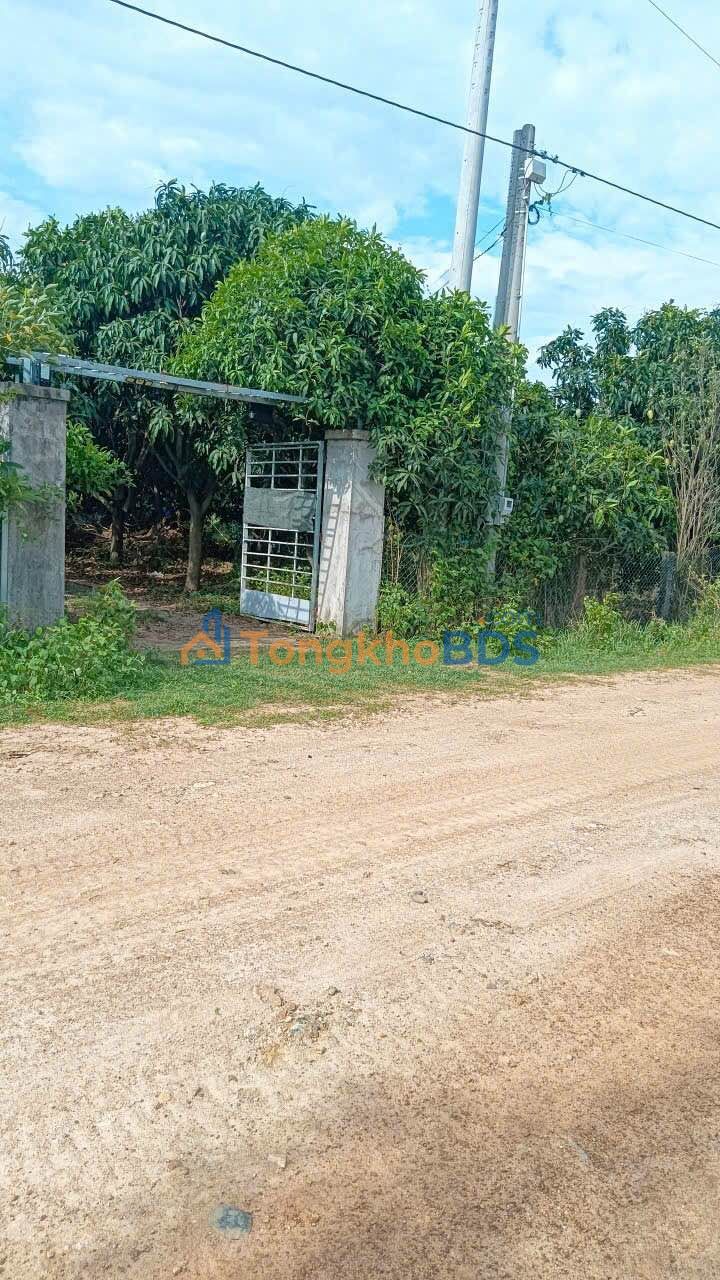 Đất vườn Hàm Liêm 2.5ha 5.5 tỷ - Đường ô tô vào