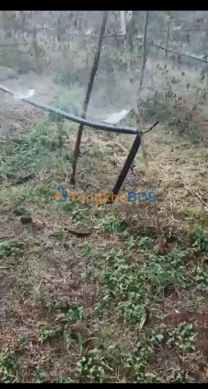 Đất nền Buôn Ma Thuột 1ha 777.78 triệu - Sổ đỏ chính chủ