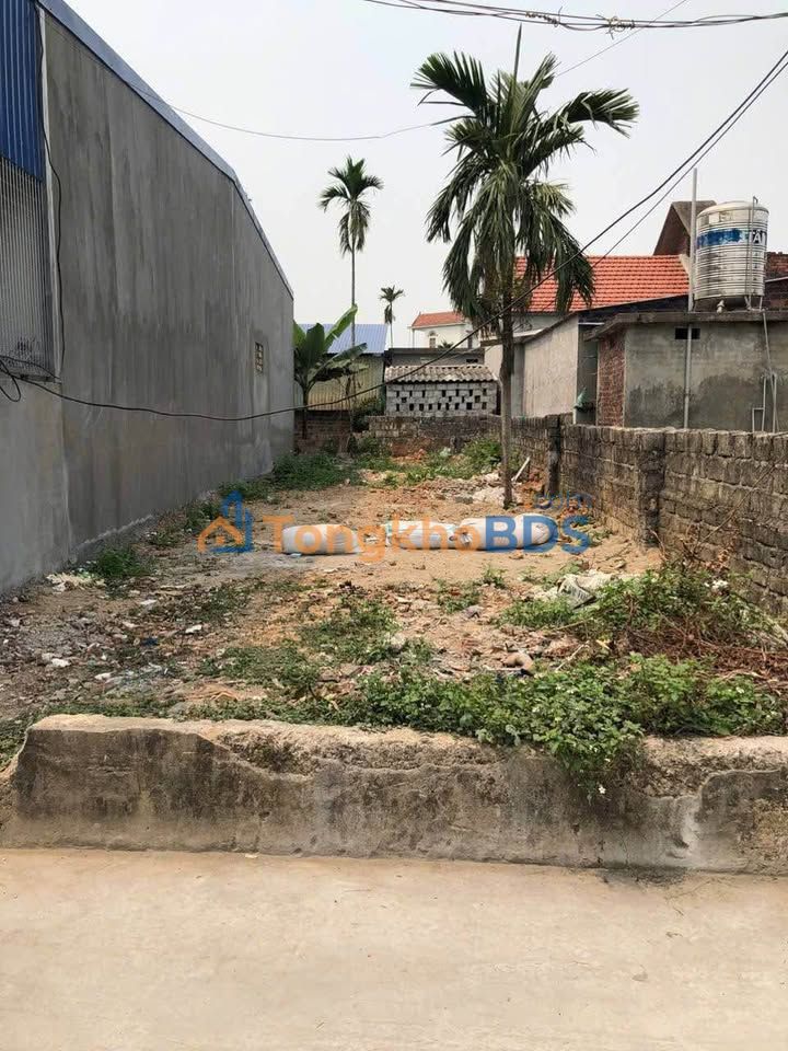 Đất nền Thôn 6 Chính Mỹ 91m² 900-999 triệu - Sổ đỏ chính chủ