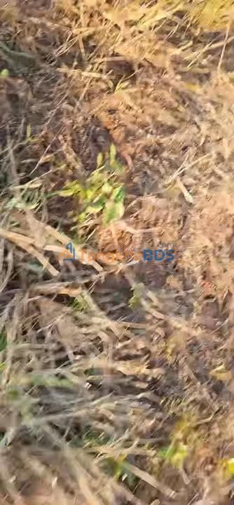 Đất nền Ea Sin Krông Búk 3.4ha 6.2 tỷ - Sổ đỏ chính chủ