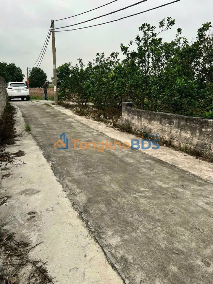 Đất nền Đông Triều 196m² giá 300 triệu - Sổ đỏ chính chủ