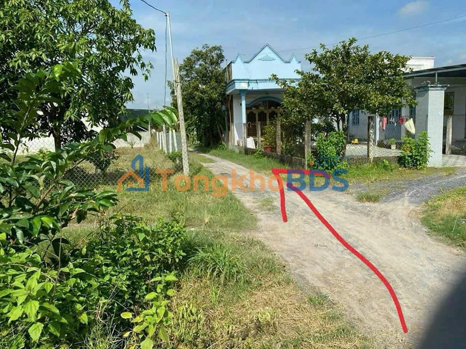 Đất Hòa Khánh Nam Long An 140m² 650 triệu - Sổ đỏ chính chủ
