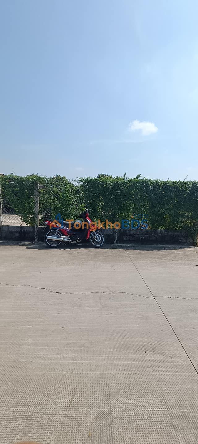 Đất nền Đức Hòa Hạ 200m² 1.25 tỷ - Sổ đỏ chính chủ