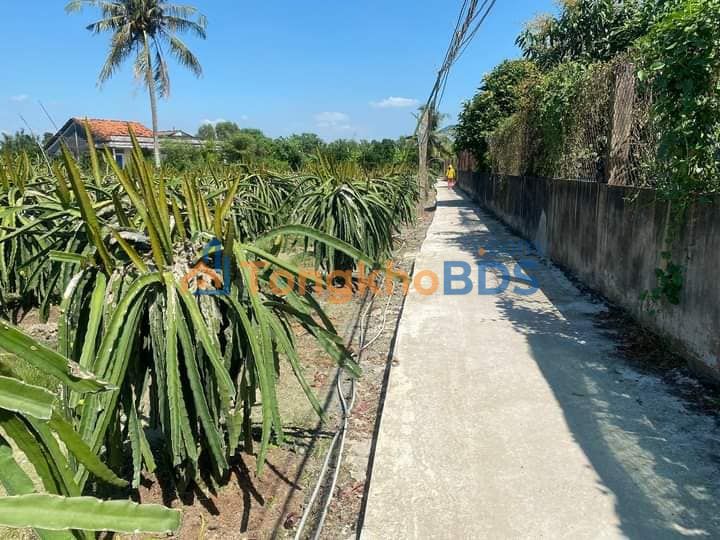 Đất vườn Hiệp Thạnh Châu Thành 1500m² 700 triệu - Sinh thái xanh