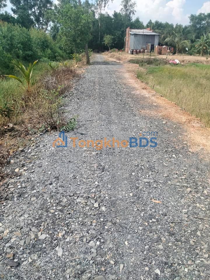 Đất nền Mỹ Bình Đức Huệ 1.006m² 550 triệu - Pháp lý rõ ràng