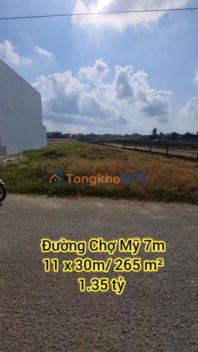 Đất nền Chợ Mỹ, Cần Đước 265m² 1.35 tỷ - Đường to ô tô