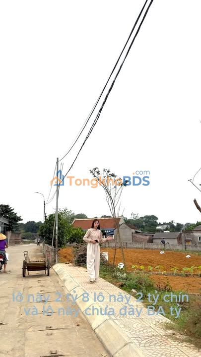 Đất nền Phú Cát Quốc Oai 105m² giá dưới 3 tỷ - Sổ đỏ chính chủ