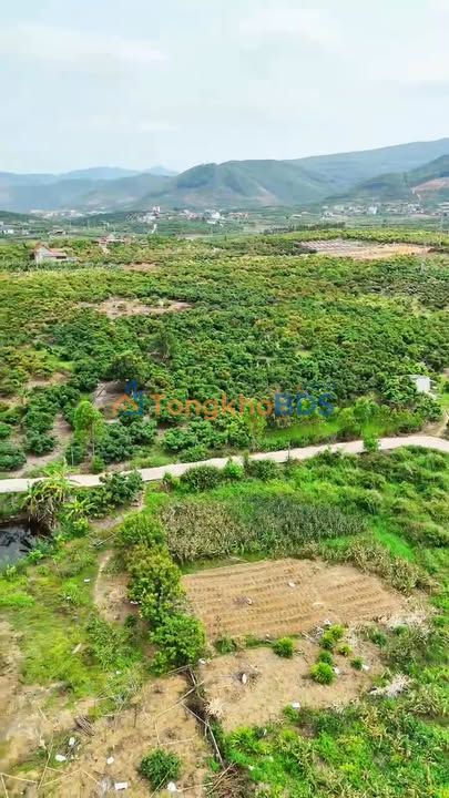 Đất nền Tân Quang 1.583m² 280 triệu - Pháp lý rõ ràng