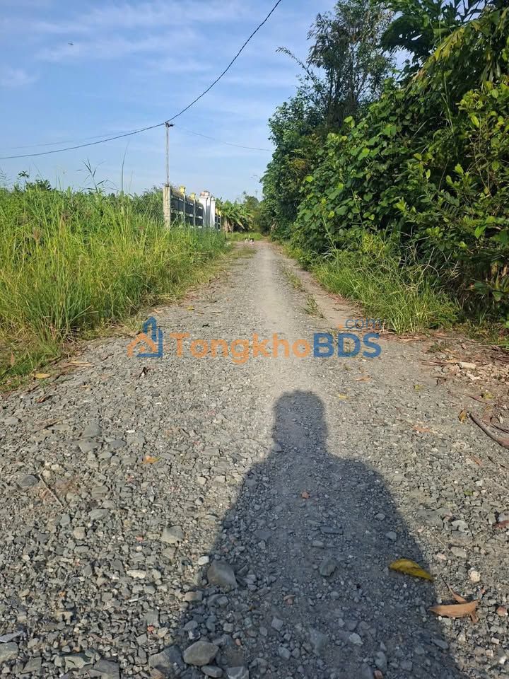 Đất nền Lương Hòa Bến Lức 5000m² 3.5 tỷ - Sổ đỏ chính chủ