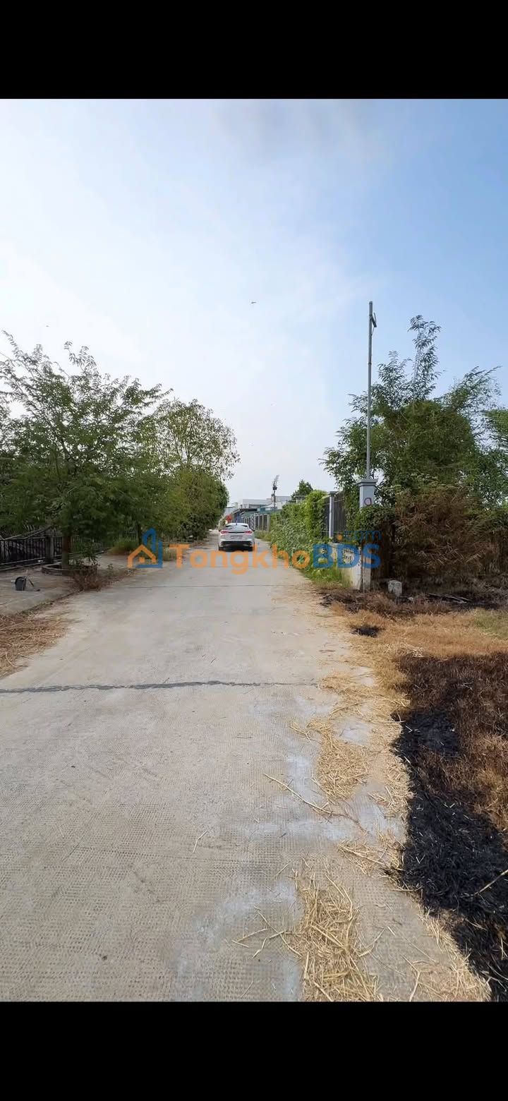 Đất nền Thanh Phú Bến Lức 1147m² 9,5 tỷ - Sổ đỏ chính chủ