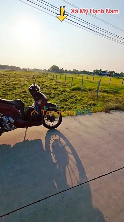 Đất nền Mỹ Hạnh Nam 896m² 4.25 tỷ - Sổ đỏ chính chủ