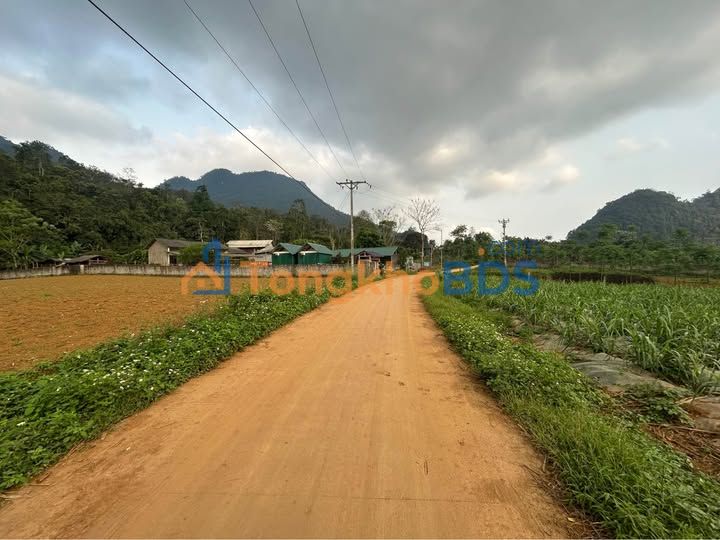 Đất nền Phong Quang 300m² 2xx triệu - Sổ đỏ chính chủ