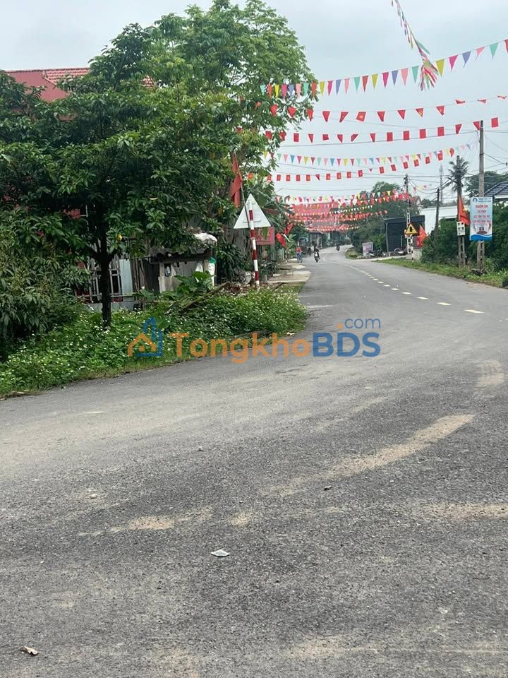 Đất Bình Sơn Lục Nam 80m² vài trăm triệu - Thổ cư 100%