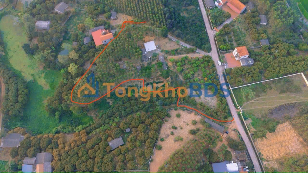 Đất nền Đồng Tâm Yên Thế 5.280m² 4.5 tỷ - Sổ đỏ chính chủ