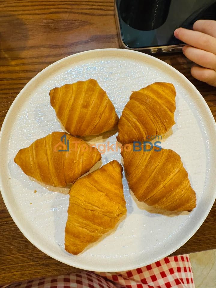 Đất nền Hoàng Hoa Vĩnh Yên 100m² 600-699 triệu - Thổ cư 100%