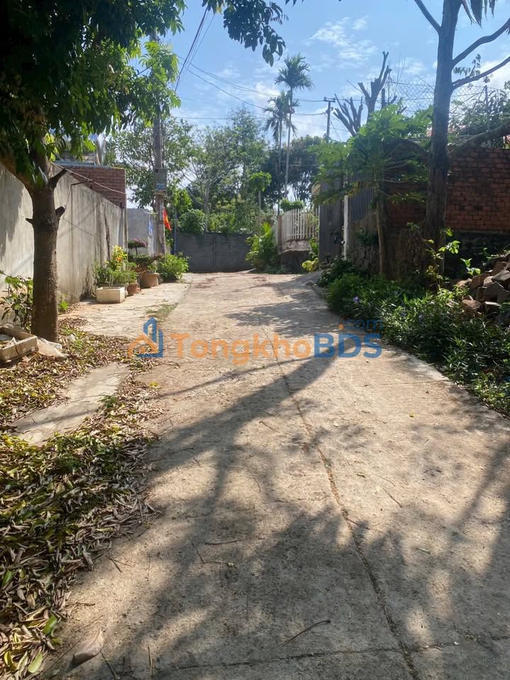 Đất nông nghiệp Nguyễn Du Buôn Ma Thuột 100m² 590 triệu - Hạ tầng hoàn thiện