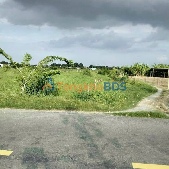 Đất nền Long An Phú Ngãi Trị 3000m² 7.5 tỷ - Sổ đỏ chính chủ