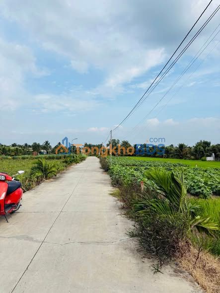 Đất nền Bình Trinh Đông Tân Trụ 91m² 399tr - Sổ hồng chính chủ