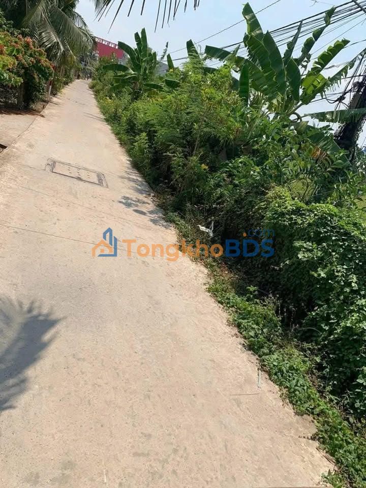 Đất nền Trung An Mỹ Tho 1,6 công - Đường to ô tô