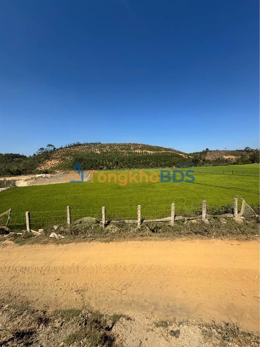 Đất Tà Năng Đức Trọng 28.000m² 3.8 tỷ - Sổ đỏ chính chủ