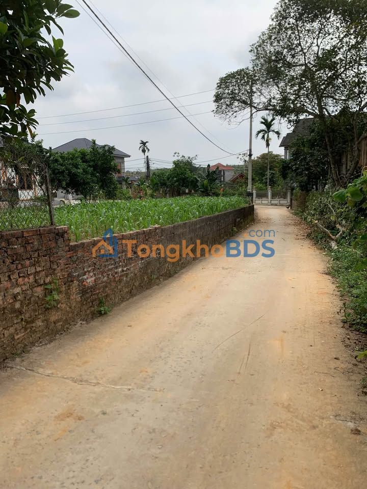 Đất Yên Sơn Thanh Sơn 120m² 300-399 triệu - Tiềm năng tăng giá