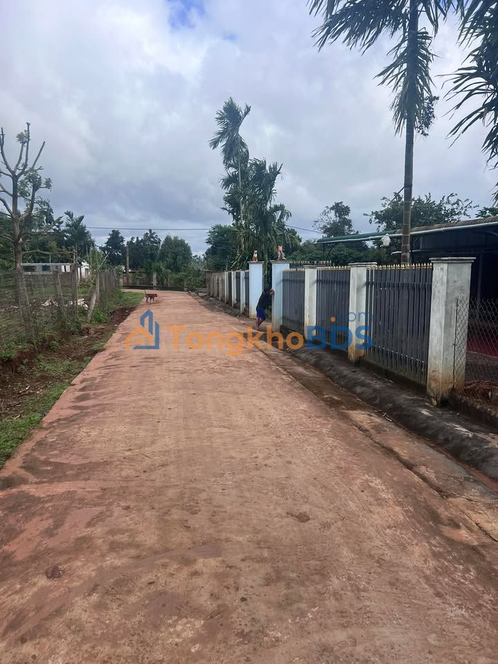 Đất nền Phú Xuân Krông Năng 186m² 610 triệu - Sổ đỏ chính chủ